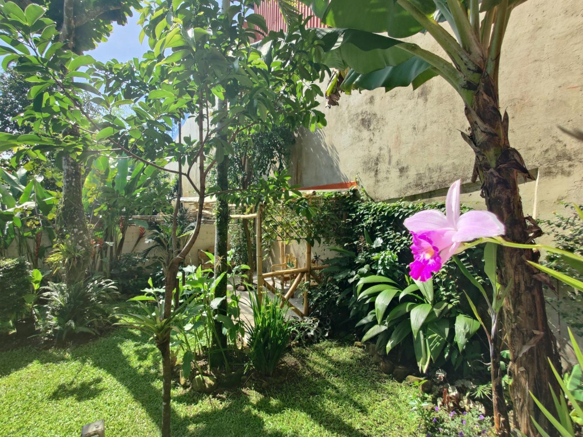 Casa De Lis Hotel & Tourist Info Centre 图里亚尔瓦 外观 照片