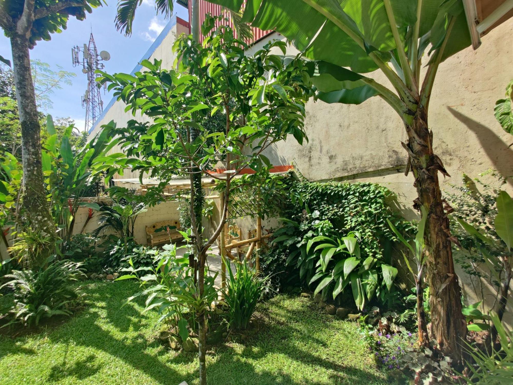 Casa De Lis Hotel & Tourist Info Centre 图里亚尔瓦 外观 照片